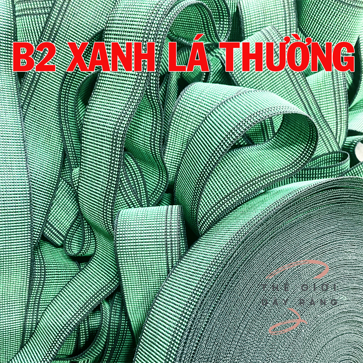 DÂY XANH LÁ LOẠI THƯỜNG